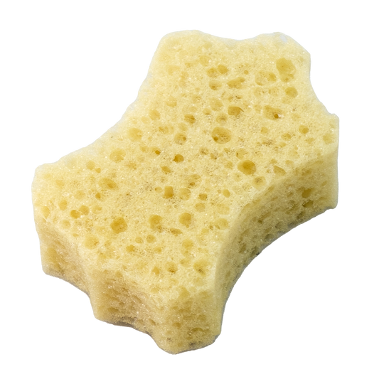Leather Cleaning Sponge - LeTech